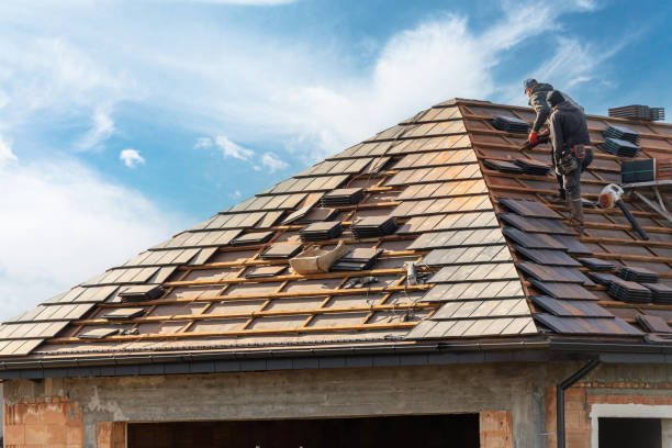 Best Metal Roofing Installation  in Pharr, TX