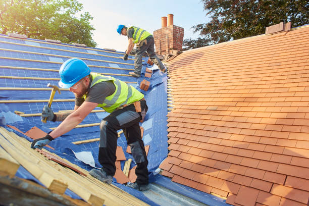 Best Roof Replacement  in Pharr, TX